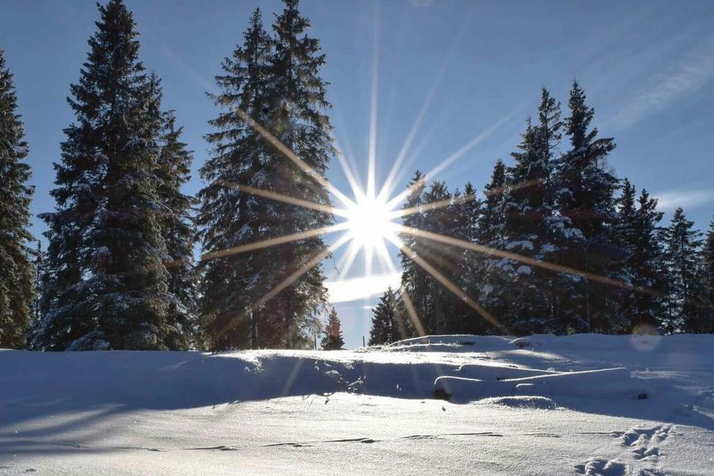Caminetto Mountain Resort Lavarone Zewnętrze zdjęcie
